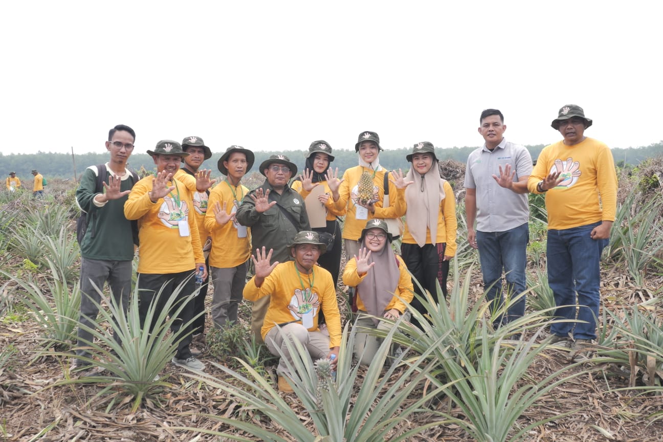 Peserta kunjungan berfoto di antara tanaman nenas
