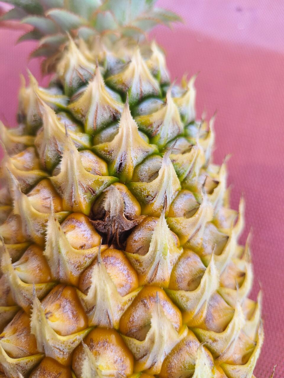 Permukaan buah nanas dengan perubahan warna pada salah satu mata buah