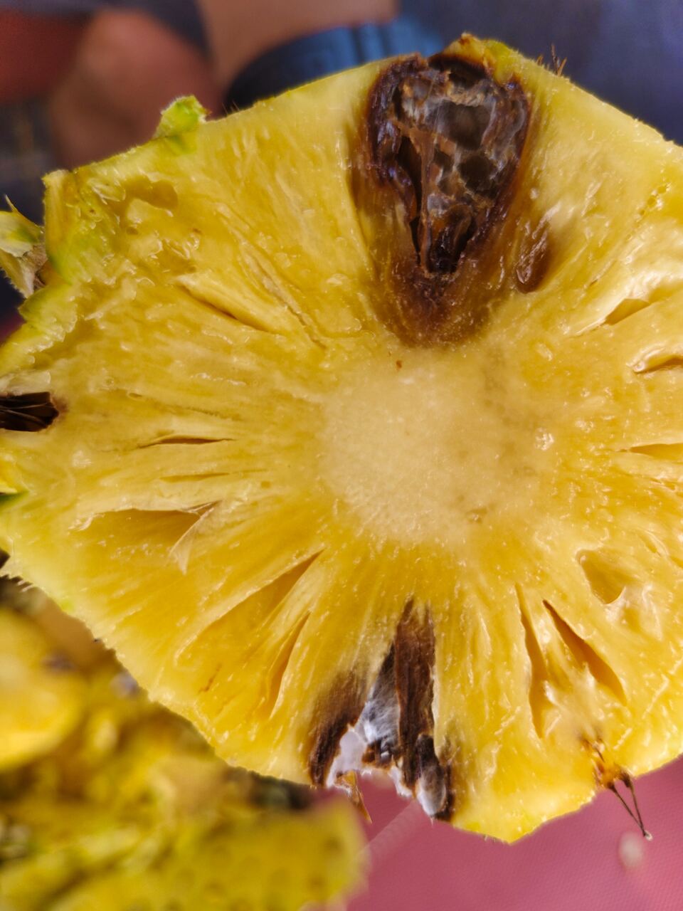 Potongan buah nanas menunjukkan bagian bergejala berdampingan dengan daging sehat
